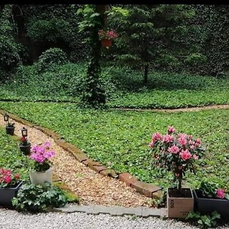 City Centar Apartman With Garden Zagreb Exterior photo